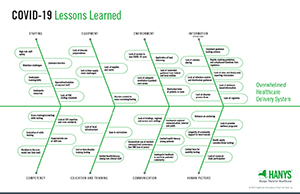 Fishbone Diagram